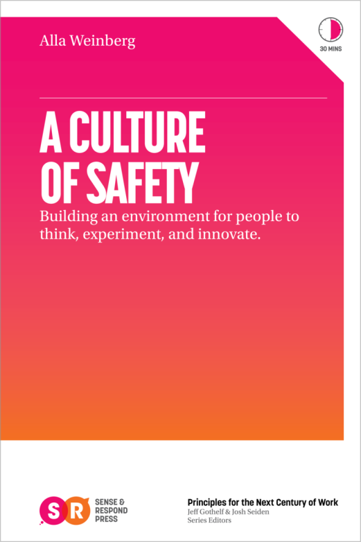 A Culture of Safety book cover